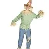 Spirit Halloween Adult Scarecrow Costume 1 Spirit Halloween Adult Scarecrow Costume -Halloween Clothing Theme Store 01312115 a