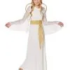 Spirit Halloween Kids Lace Angel Costume -Halloween Clothing Theme Store 01315423 a