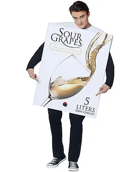Spirit Halloween Adult Box Of Wine Costume 3 Spirit Halloween Adult Box Of Wine Costume