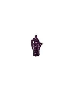 Spirit Halloween Adult Velvet Celestial Robe -Halloween Clothing Theme Store 01475532 e