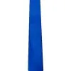 Spirit Halloween Royal Blue Tie -Halloween Clothing Theme Store 01546928 a