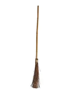 Spirit Halloween 56 Inch Witch Broom
