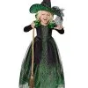 Spirit Halloween Toddler Green Witch Costume -Halloween Clothing Theme Store 07651003 a